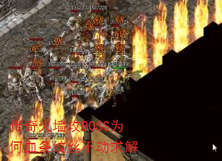ǽBOSSΪѪ˿