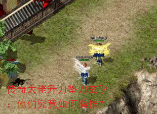 浶ѧǾβ