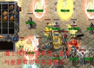 ʿ˽죺뷢չЩؼҪ㣿