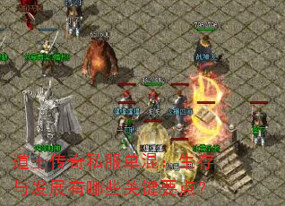 ʿ˽죺뷢չЩؼҪ㣿