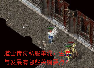 ʿ˽죺뷢չЩؼҪ㣿
