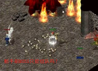 ˢBOSSֻ