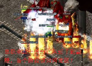 ְҵսʿ棺ֵԷ׶θηչ