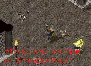 ְҵսʿ棺ֵԷ׶θηչ