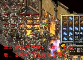 ְҵսʿ棺ֵԷ׶θηչ