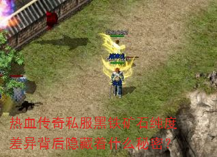 Ѫ˽ʯȲ챳ʲôܣ