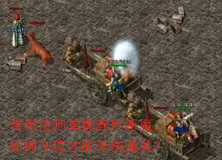 淨ʦ¶ħολͨأ