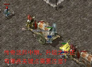 淨ʦڣ֮⻹ЩؼҪע⣿