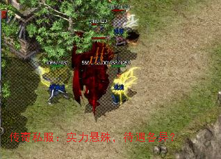˽ʵ⣬죿