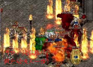 棺辶һ