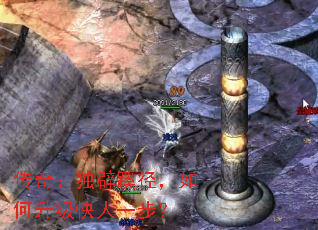 棺辶һ