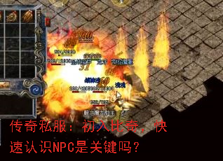 ˽棬ʶNPCǹؼ