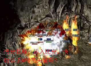 ˽棬ʶNPCǹؼ