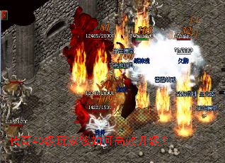 40ҸθЧ