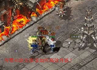 40ҸθЧ