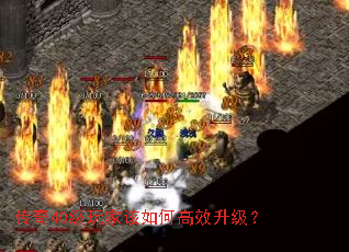 40ҸθЧ
