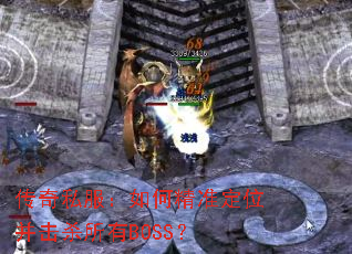 ˽ξ׼λɱBOSS