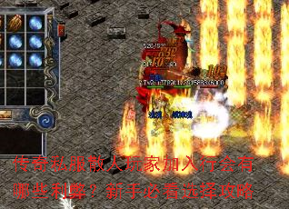 ˽ɢҼлЩףֱؿѡ