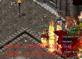 ڴsfгΪ鷳Ӧԣ