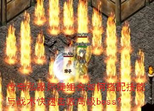 ˽ʦͽδ似սٻܸ߼boss