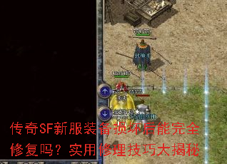 SF·װ𻵺ȫ޸ʵɴ