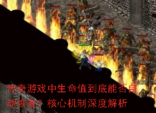 ϷֵܷԶָĻȽ