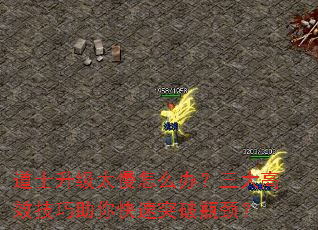 ʿ̫ô죿Чͻƿ