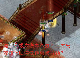 ʿ̫ô죿Чͻƿ