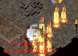1.76ѡʵĹս