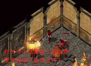 ڴѡɢ·ҪЩ漼ɣ