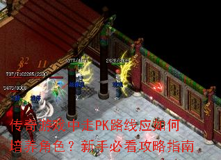 ϷPK·Ӧɫֱؿָ