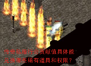 ˽лṱֵܶһЩϡеߺȨޣ