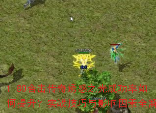 1.80ϻջ֮ɹʵսӰȫ