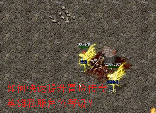 如何快速提升冒险传奇英雄私服角色等级? 如何快速提升冒险传奇英雄私服角色等级?
