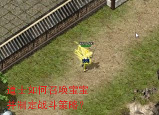 道士如何召唤宝宝并制定战斗策略? 道士如何召唤宝宝并制定战斗策略?