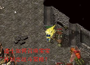 道士如何召唤宝宝并制定战斗策略? 道士如何召唤宝宝并制定战斗策略?