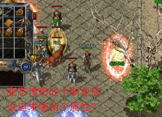 变态传奇战士职业应该追求哪两个属性? 变态传奇战士职业应该追求哪两个属性?