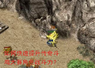 如何快速提升传奇斗鸡大赛角色战斗力? 如何快速提升传奇斗鸡大赛角色战斗力?