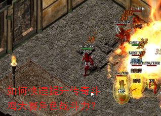 如何快速提升传奇斗鸡大赛角色战斗力? 如何快速提升传奇斗鸡大赛角色战斗力?