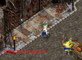 在哪里可以打到触龙神? 在哪里可以打到触龙神?