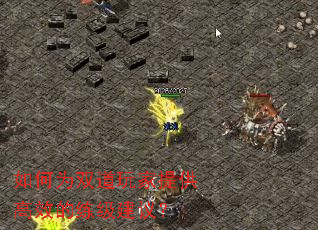 如何为双道玩家提供高效的练级建议? 如何为双道玩家提供高效的练级建议?