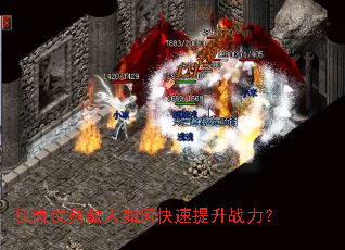 ����̽�ɢ����ο�������ս����