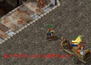 ����̽�ɢ����ο�������ս����