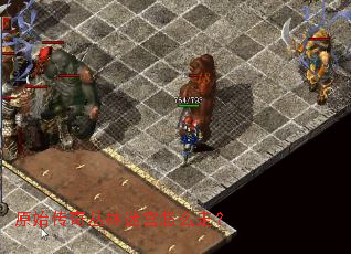 原始传奇丛林迷宫怎么走? 原始传奇丛林迷宫怎么走?