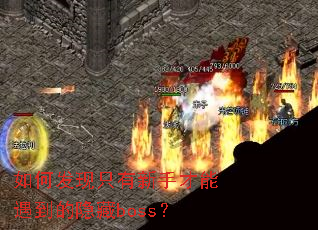 如何发现只有新手才能遇到的隐藏boss? 如何发现只有新手才能遇到的隐藏boss?