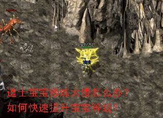 道士宝宝修炼太慢怎么办?如何快速提升宝宝等级? 道士宝宝修炼太慢怎么办?如何快速提升宝宝等级?