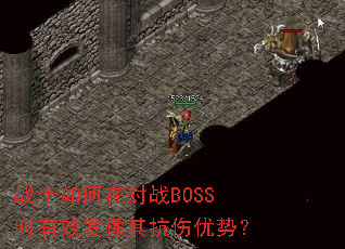 战士如何在对战BOSS时有效发挥其抗伤优势? 战士如何在对战BOSS时有效发挥其抗伤优势?