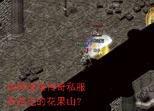 如何征服传奇私服西游记的花果山? 如何征服传奇私服西游记的花果山?