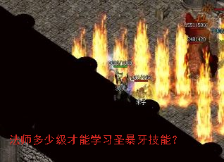 法师多少级才能学习圣暴牙技能? 法师多少级才能学习圣暴牙技能?