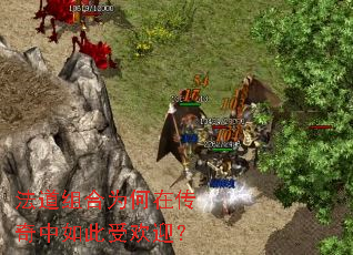 法道组合为何在传奇中如此受欢迎? 法道组合为何在传奇中如此受欢迎?